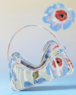 Acne Studios -Still - Bag - Illustration by Ilias Walchshofer - Mixed Media Paris 