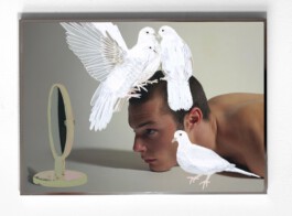 Mirror Self Recognition (framed) - Illustration by Ilias Walchshofer - Mixed Media Paris 