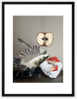 Limited Series "Gentle Inventory" - Series 02 - Illustration by Ilias Walchshofer - Mixed Media Paris