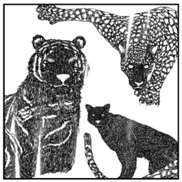 Collage Wild Cats - Illustration by Ilias Walchshofer - Mixed Media Paris 
